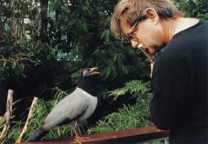 fluteaviary4